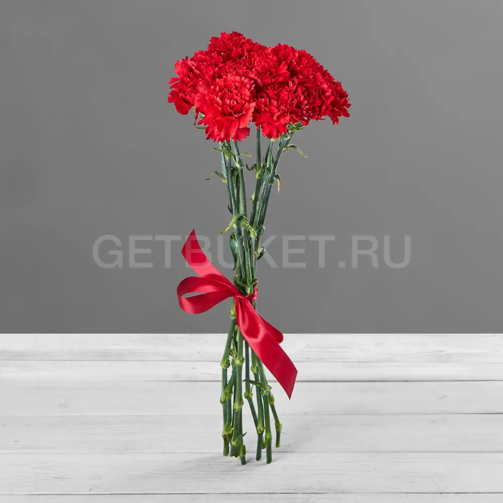 208803 Букет из 9 красных гвоздик