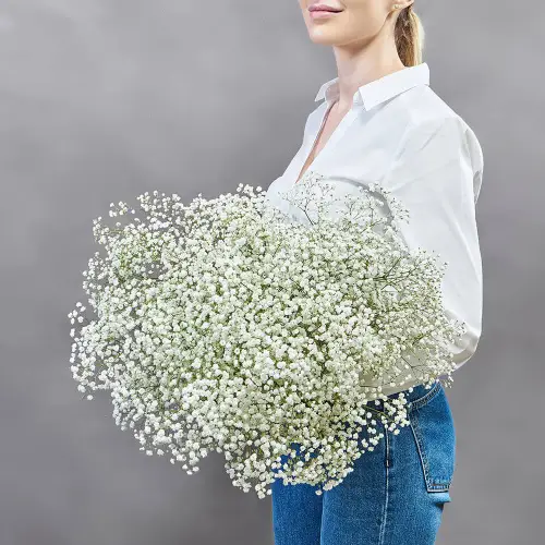 Букет из 15 гипсофил